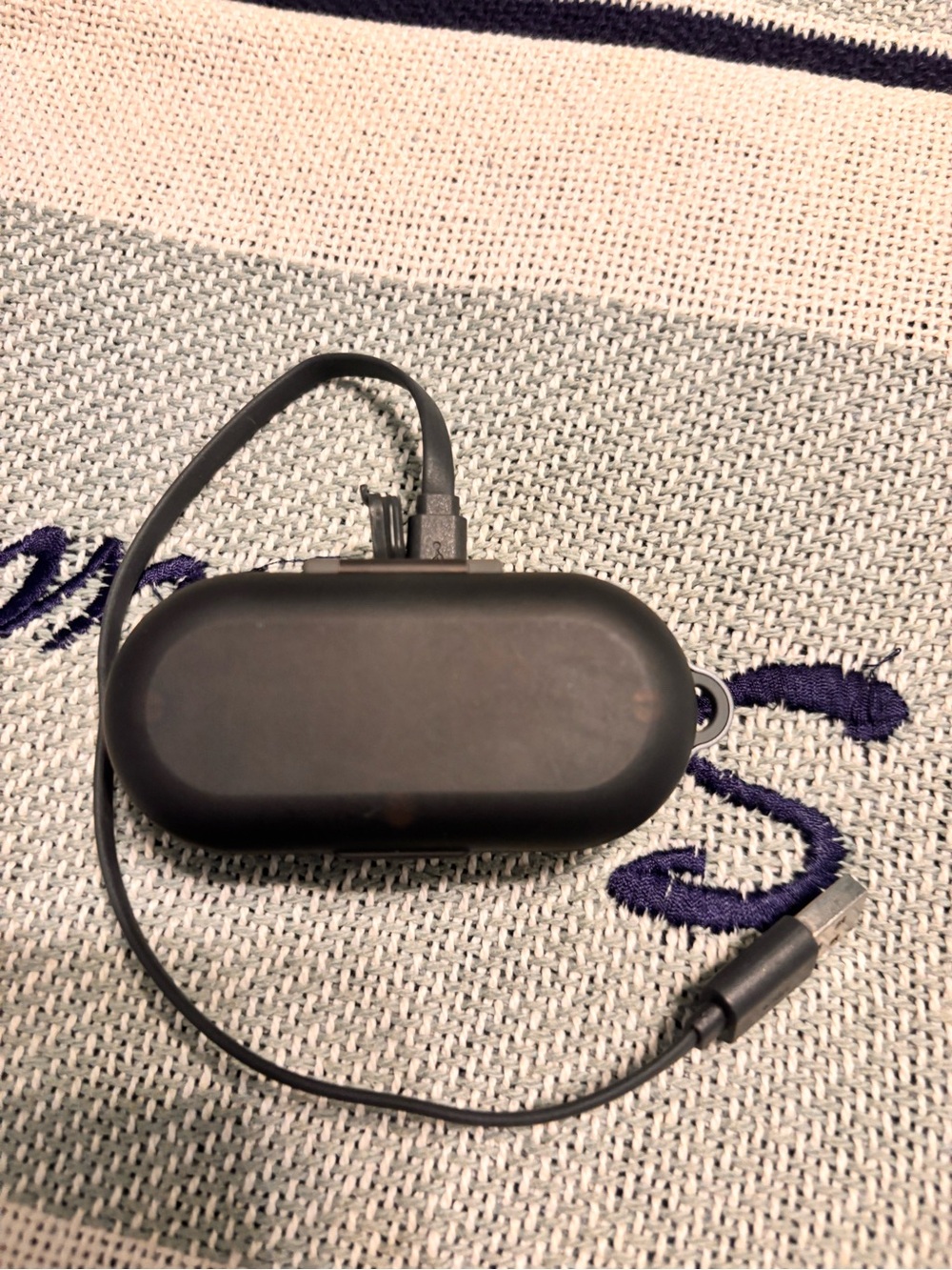 Portable Black Wireless Earbuds Charging Case with USB-C Cable